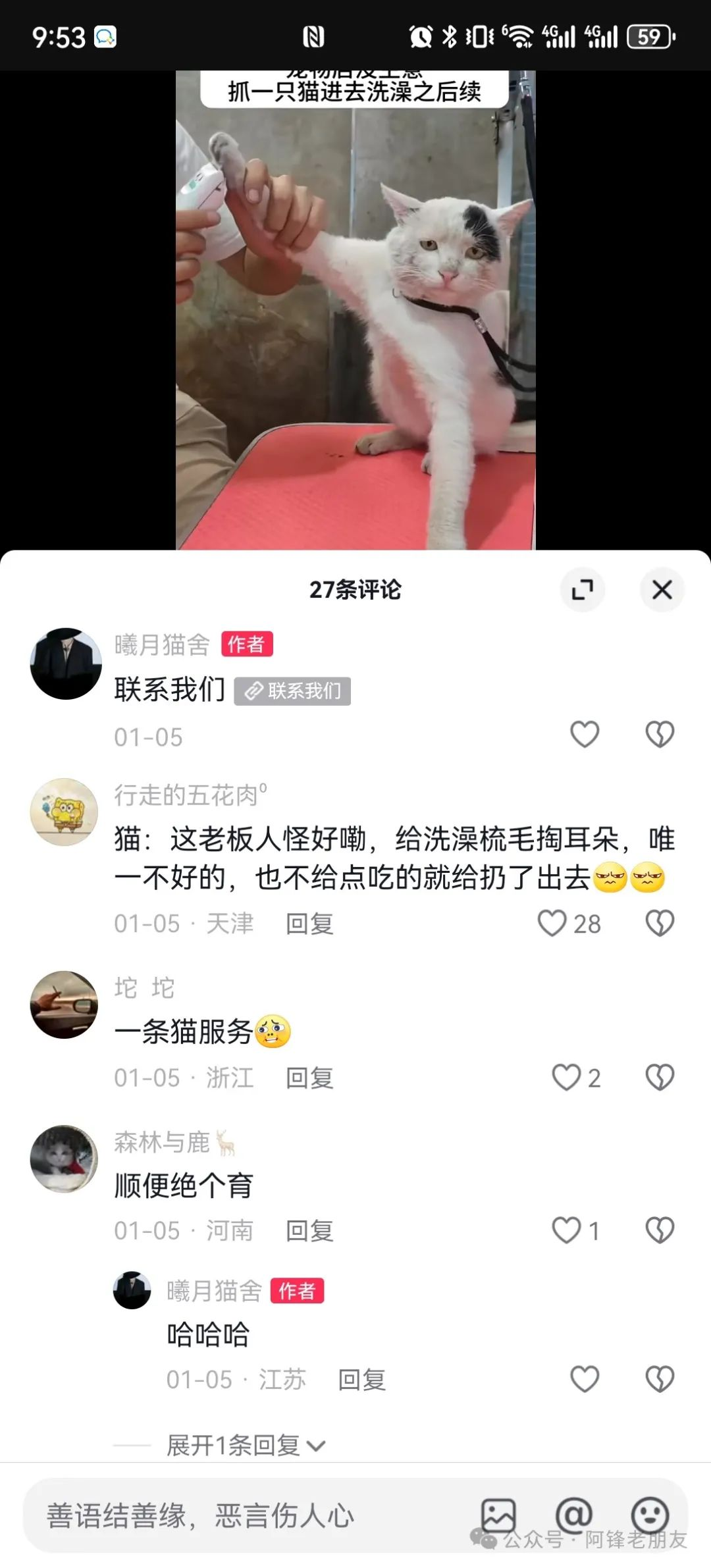 揭秘小猫咪活体抖音打粉项目，高客单价，每单利润 5000+ 认真坚持落地实操 轻松月入过万（篇一）-云创网